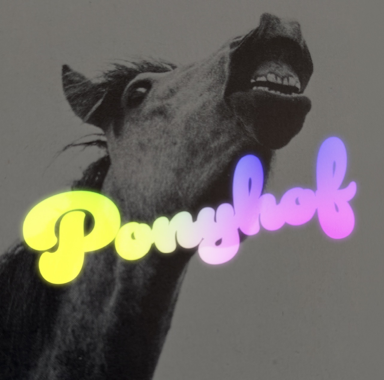 Ponyhof